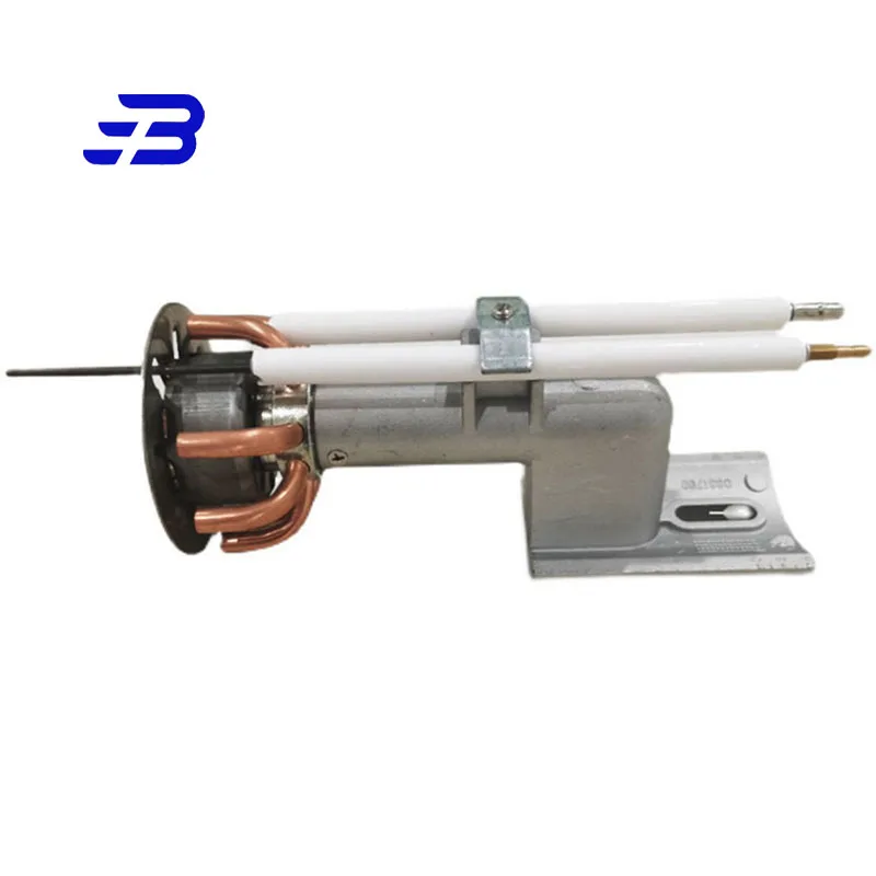 Qualità Assicurata Gruppo Bruciatore A Gas Riello Fs10 Fs20 Gs10 Gs20 Parti Di Combustione Del Gas