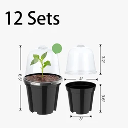 Mini Nursery Flowerpots for Indoor Bonsai and Succulent Gardening (10sets)