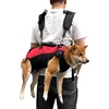 4455-1b4cec.jpg Dog Going Out Bag Big Dog Motorcycle Pet Backpack Going Out Backpack Carrying Bag Strap Fixation Bag