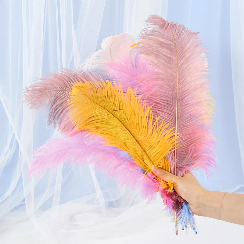

10pcs Natural Ostrich Feathers Wedding Party Carnival Dancers Decor Plumes DIY Ornaments Craft Accessories Fluffy Dyed Plumes