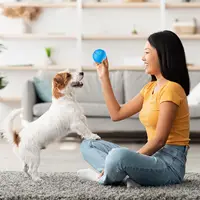 Interactive Dog Pet Ball Toys With Led Lilght Automatic Moving Smart Ball Dog Color Changing Bouncing Rotating Pet Products 2