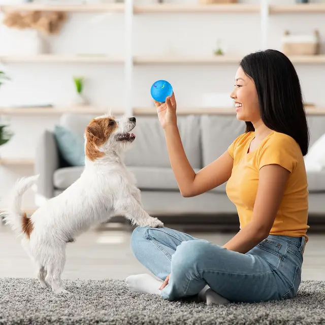 Interactive Dog Pet Ball Toys With Led Lilght Automatic Moving Smart Ball Dog Color Changing Bouncing Rotating Pet Products 2