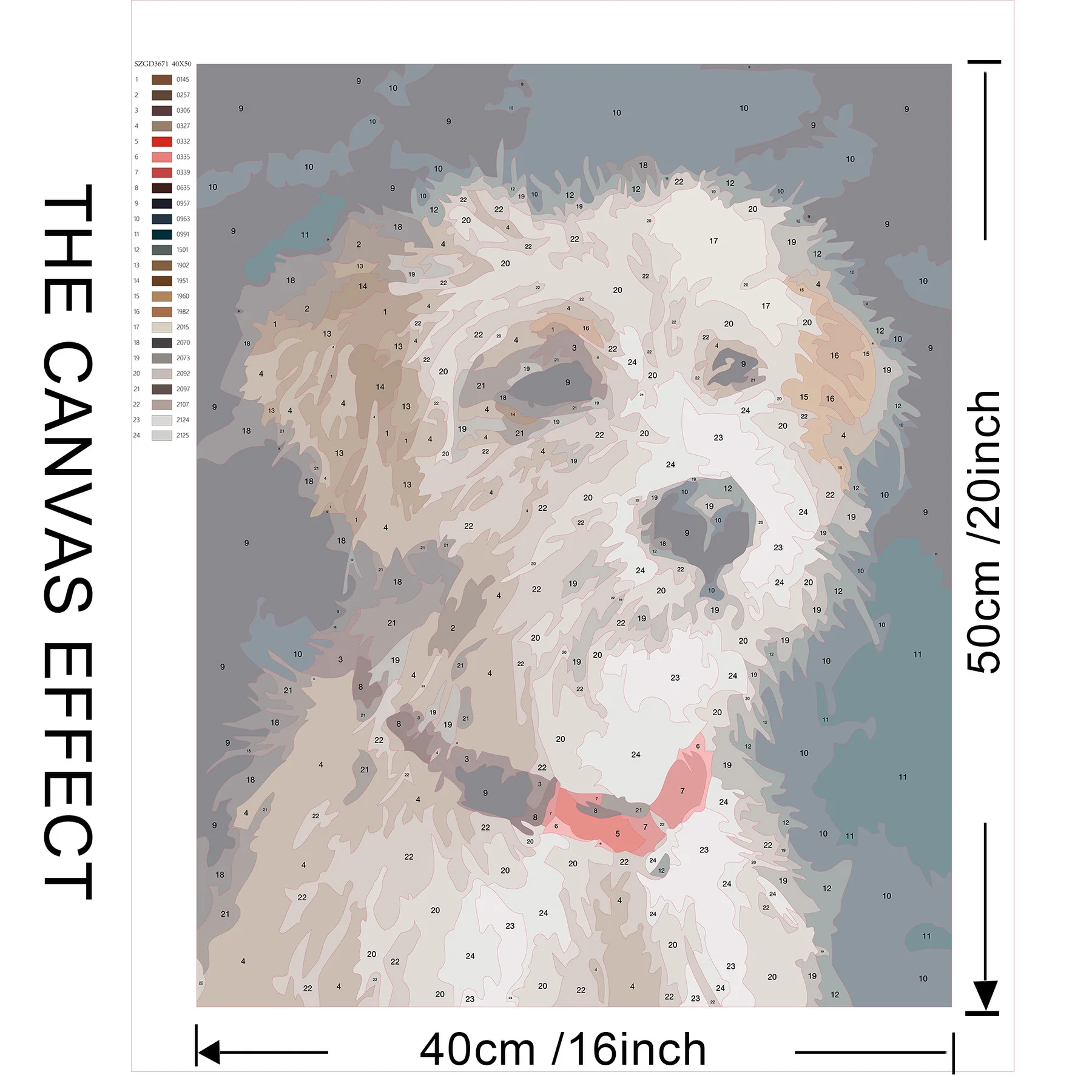 556.jpg_.webp 556.jpg_.webp