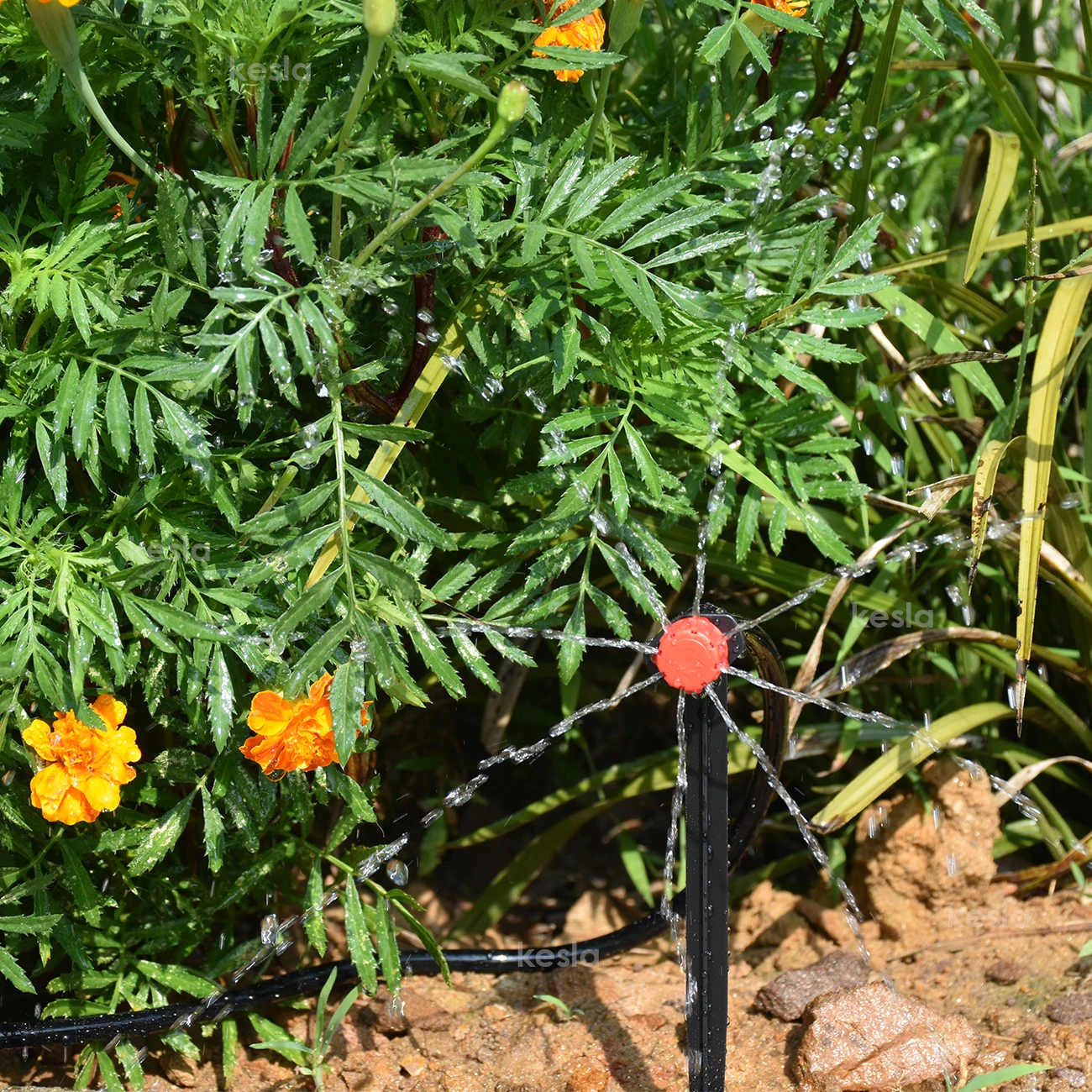 KESLA 5-100m Garden Watering Hose 4/7mm PVC Micro Irrigation Pipe Drip Irrigation Tubing Sprinkler 1/4" Lawn Balcony Greenhouse