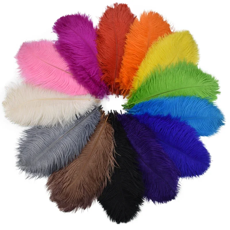 Ostrich Feathers 10Pcs/Lot Colored for Crafts Wedding Decoration Handicraft Accessories