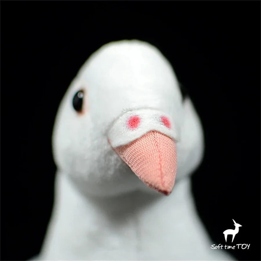 Peace Dove Toy High Fidelity Pigeon Plushie White Pigeon Peluche Lifelike Stuffed Animals Simulation Doll Kawai Toy Gifts Kids 5