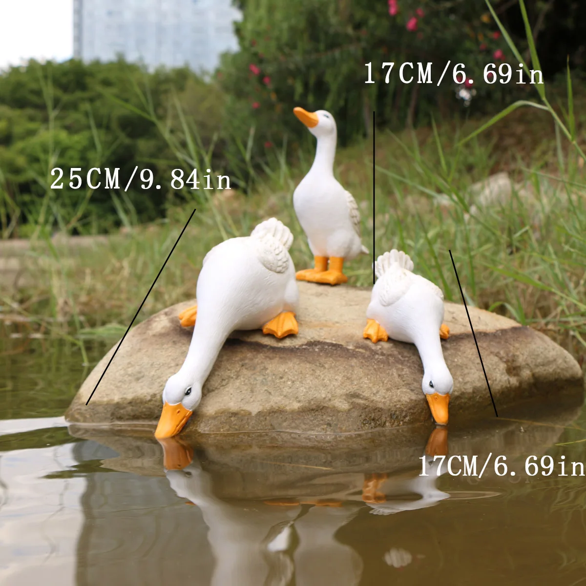 set3ducks