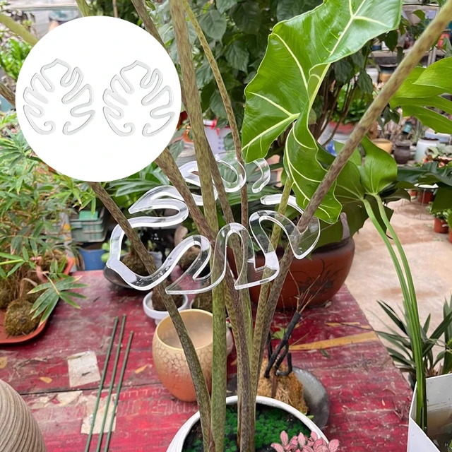 Monstera Shaped Plant Support Easy Installation Decorative Plant Stand Leaf Shape Plants Pole Sturdy Alloy Support Pile Garden 5