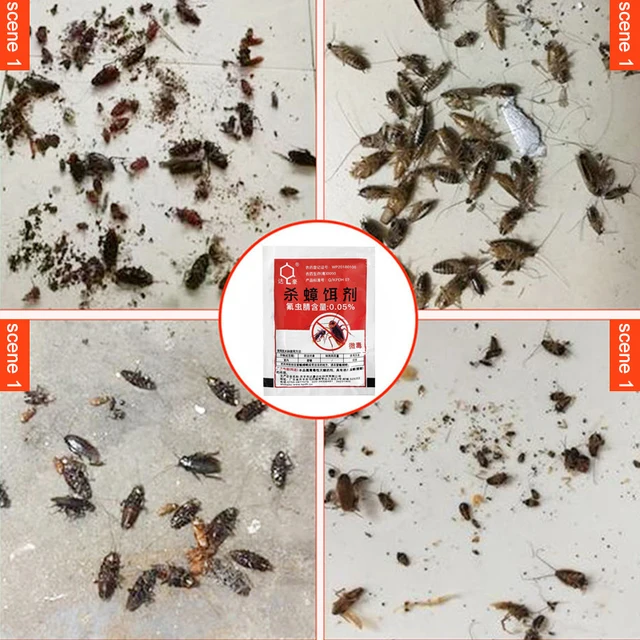 20/50/100Db Hatékony Gyilkos Csótány Porcsali Anti Kártevő Csapda Kártevőirtó Termékek Konyhai Étteremhez - Image 2