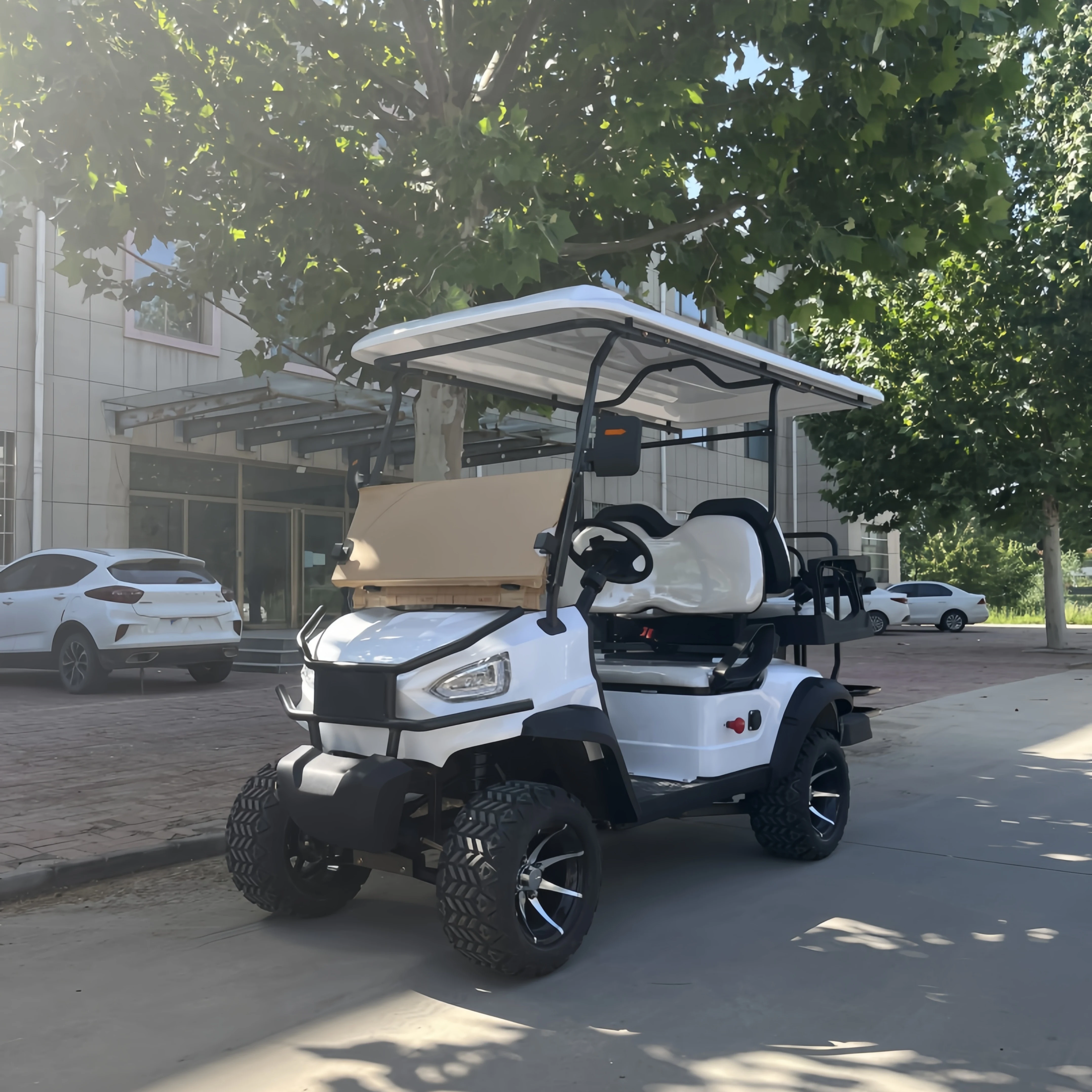 Affordable club 2 seater chinese electric golf cart car for sale 48V lithium comfortable 2 seats electric golf carts