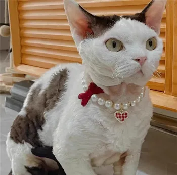Adjustable Pet Necklace Cat Collar Faux Pearl Pet Collar with Heart Bowknot Charm Rhinestone Dog Jewelry for Pets