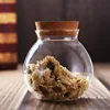 500ML Spherical Glass Food Storage Container with Cork Lids Large Capacity Sealed Glass Bottles Pot Jar for Kitchen Organizer 4