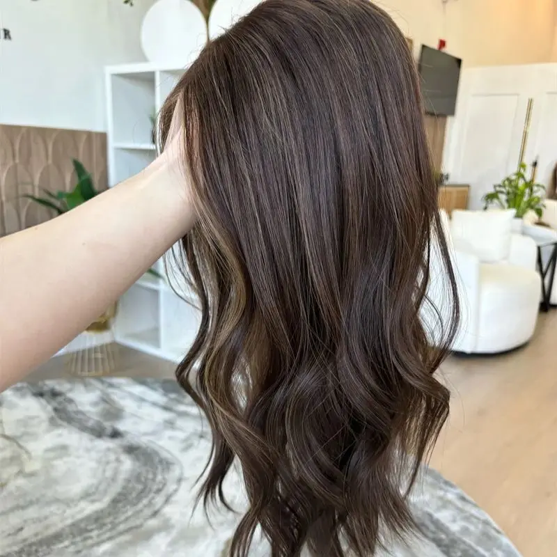 Glueless Lace Wigs Synthetic Lace Front Wigs Ombre Blonde Brown Colored Highlights HD Transparent Front Women's Wig