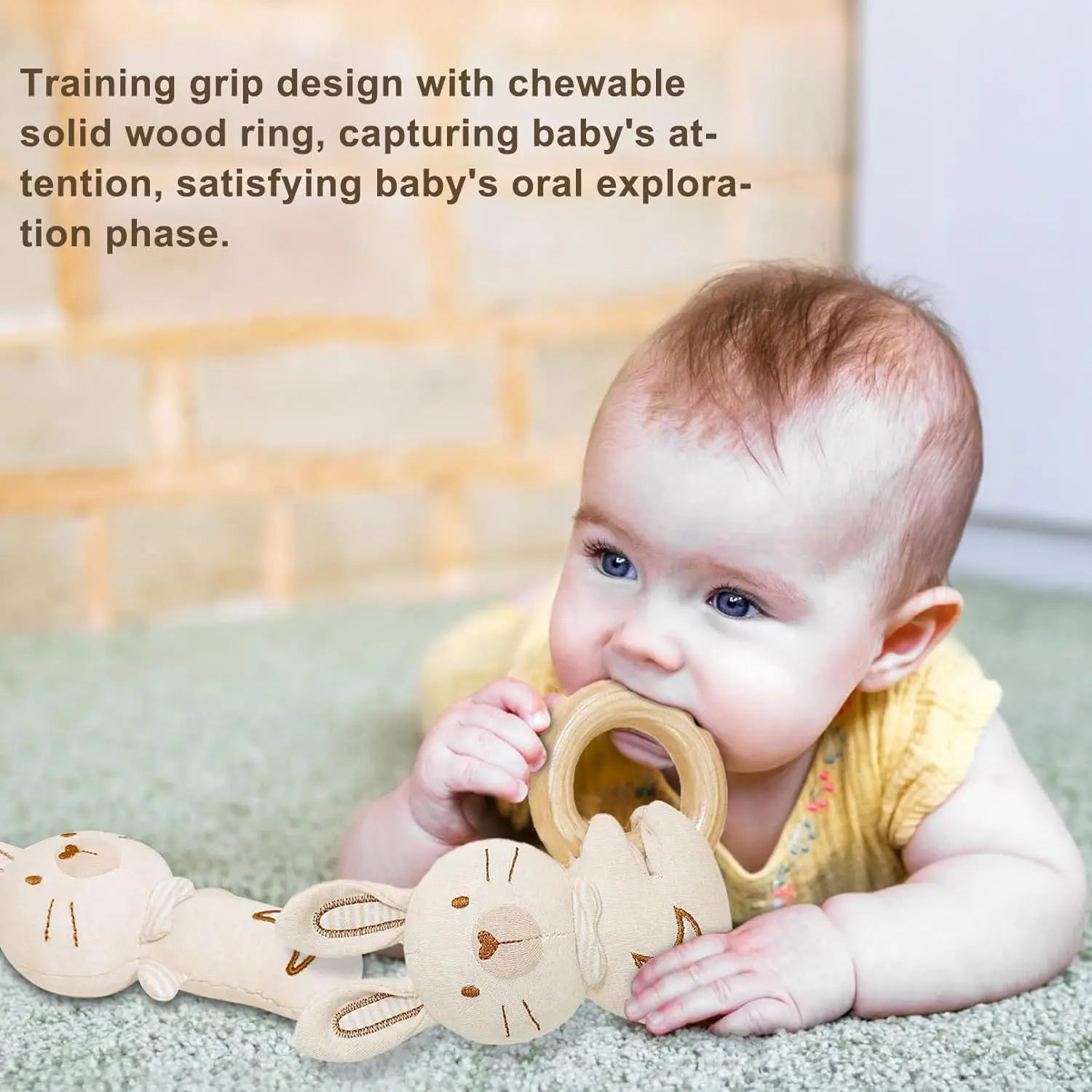 Baby Rattle Toys Set for Infants, Soft Stuffed Animal Lion Plush Rattle Sensory Toys 2 PCS toys for baby 0 to 12 months