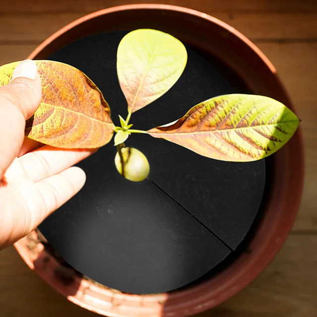 20 Dcs Őrölt Ruhák Kertészkedés-Vezérlő Gyűrű Gyomnövényes Fasz Szövet Fa Gyümölcs Erős - Image 5