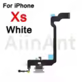 Xs White