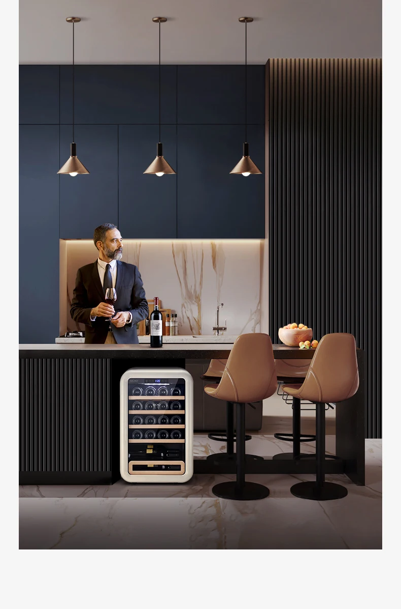 Mini Retro Wine Cooler Wine Fridge Cabinet of Good Choice for Restaurant and Household