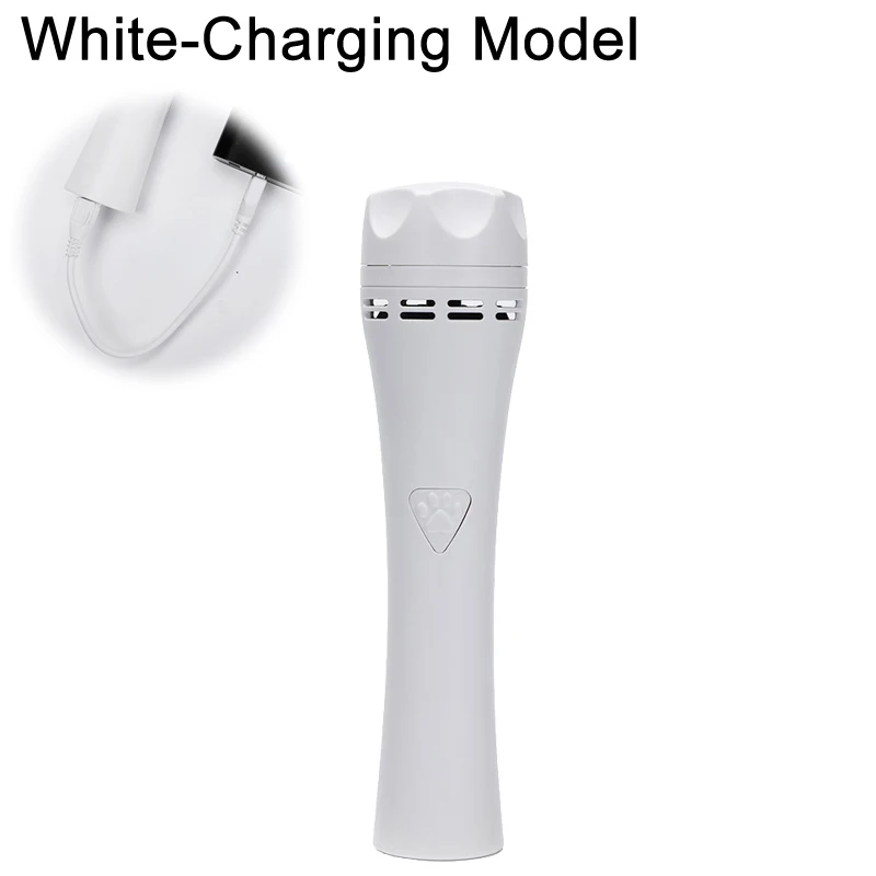 White-Charging Model