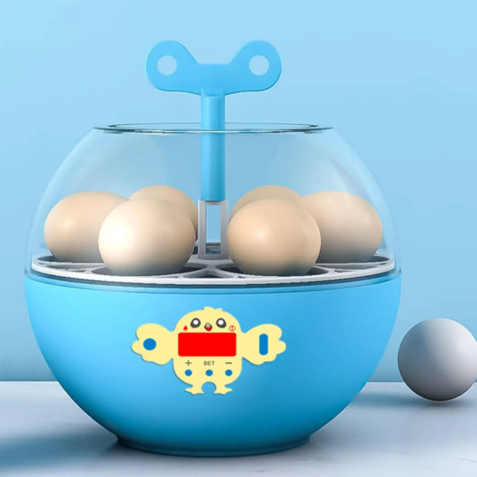 6 Eggs Incubator Visible Temperature Control Home Use Egg Hatcher Digital Egg Incubator for Quail Goose Chickens Turkey Duck