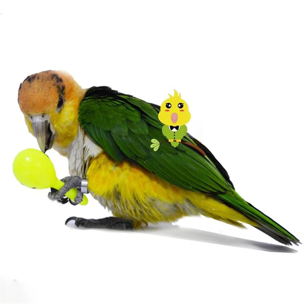 3PCS Bird Toy Parrot Rattle Sand Hammer Ball Bites Wisdom Interactive Training