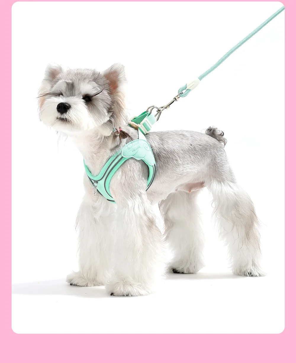 Peitoral para cães com asas de anjo macio e respirável pequenos_voghion.com