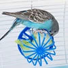 1PC Bird Parrot Feeder Cage Fruit Vegetable Holder Cage Access Hanging Basket Container Toy Pet Parrot Feeder Cage Supplies 2