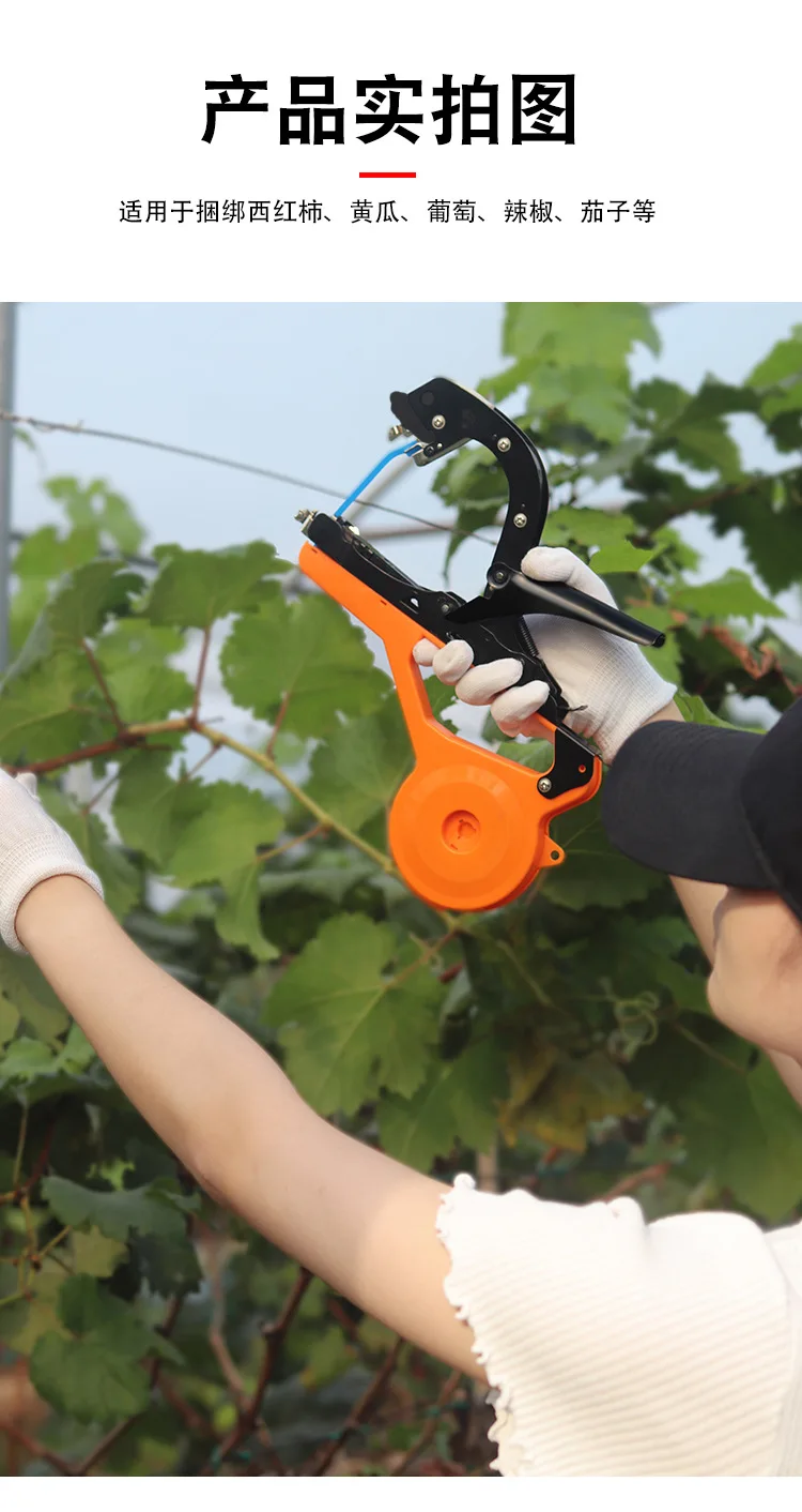 Pince Universelle Pour Pots De Fleurs – Poignée De Serrage Polyamide, Robuste Et Facile à Utiliser - 10