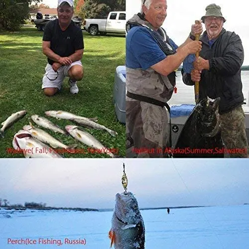 PRO BEROS 1/2/3/4pcs Fishing Lure Light LED Bait Deep Drop Underwater Eye Fishing Squid Bait Luminous Lure for Attracting Fish
