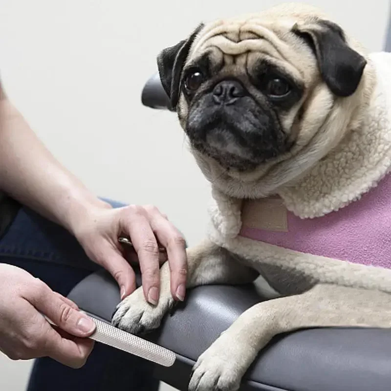 Nail file nail scissors grinder for Dogs and Cats
