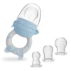 TYRY.HU 4pcs/set Silicone Fruit & Vegetable Feeder for Infants and Toddlers 6-36 months Food Grade Teething & Feeding Pacifier 1