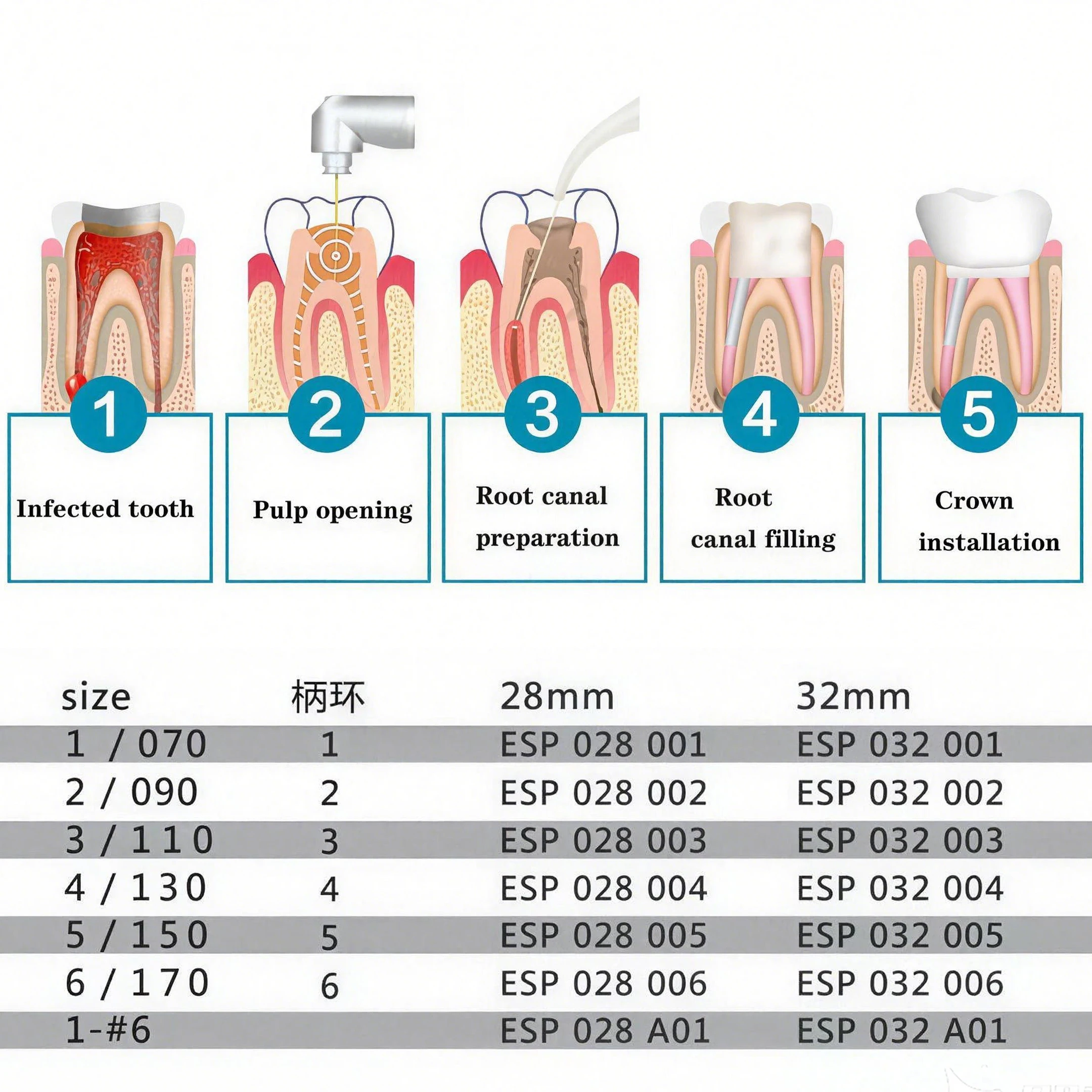 Forets endodontiques gates glidden en acier inoxydable dentaire_voghion.com