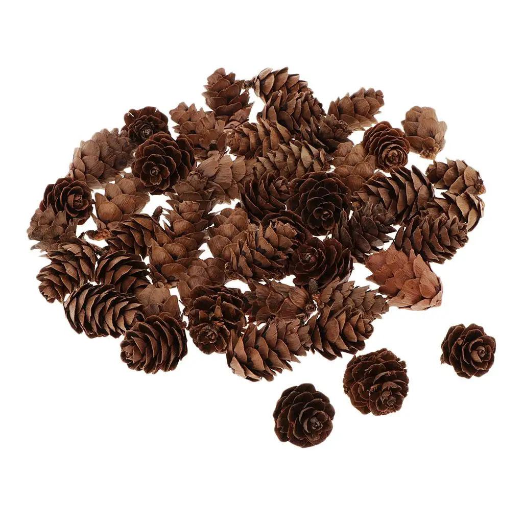 Natural Pine Cones DIY Bulk Mini Ornaments for Christmas Decorations Vase Filler and Table Accents Natural Pine Cones DIY Bulk Mini Ornaments for Christmas Decorations Vase Filler and Table Accents