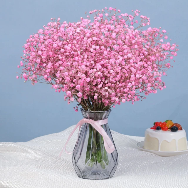 Comprar Flores secas naturales conservadas Gypsophila Paniculata, ramos de  flores para el aliento del bebé, regalo para bodas, accesorios de  decoración del hogar para fotos, Flores Secas Naturales