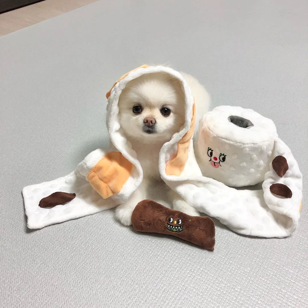 Set Dog Toy - Cute Interactive Toy