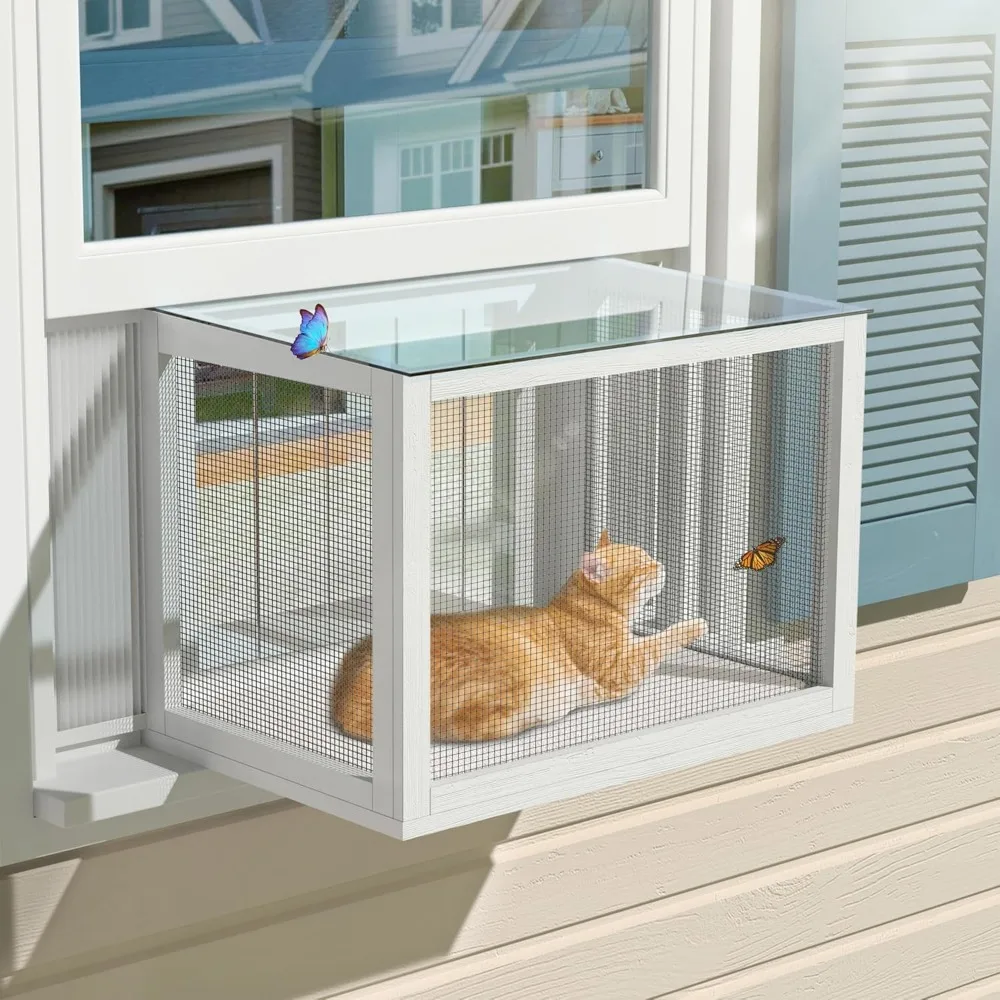 Cat Window Box 2