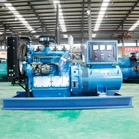 Groupe électrogène diesel industriel de type ouvert 50 kVA pour l'irrigation agricole et l'atelier 5