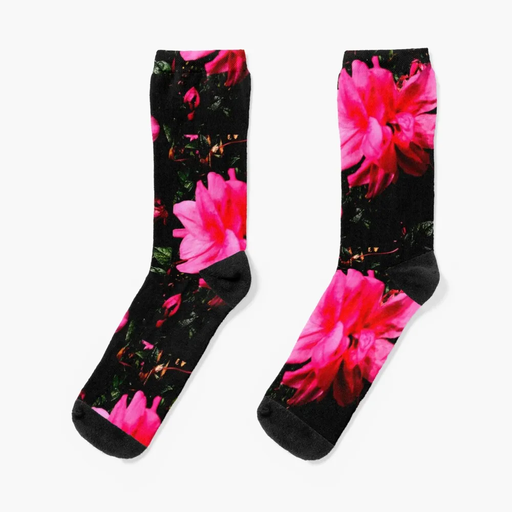 

hot pink Socks Children's FASHION Socks For Men Women's