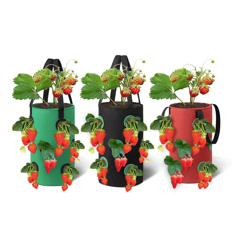 

Multi-port Grow Bags for Plant Strawberry Hanging Planting Pots Fruit Vegetable Pouch Outdoor Garden Supplies Flower Pot