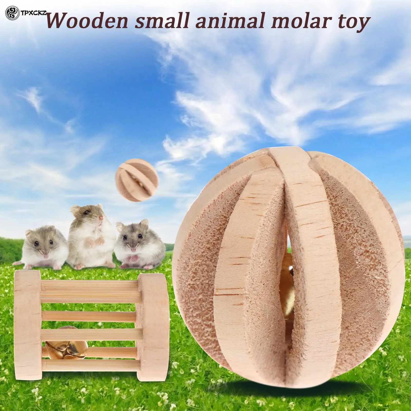 6Pcs/Set Pet Hamster Natural Wooden Chewing Toys 4