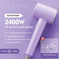 High Speed Electric Turbine Airflow Low-Noise Constant Temperature Fast Drying Hair Dryer EU/US/UK/AU Plug for Home Salons 1