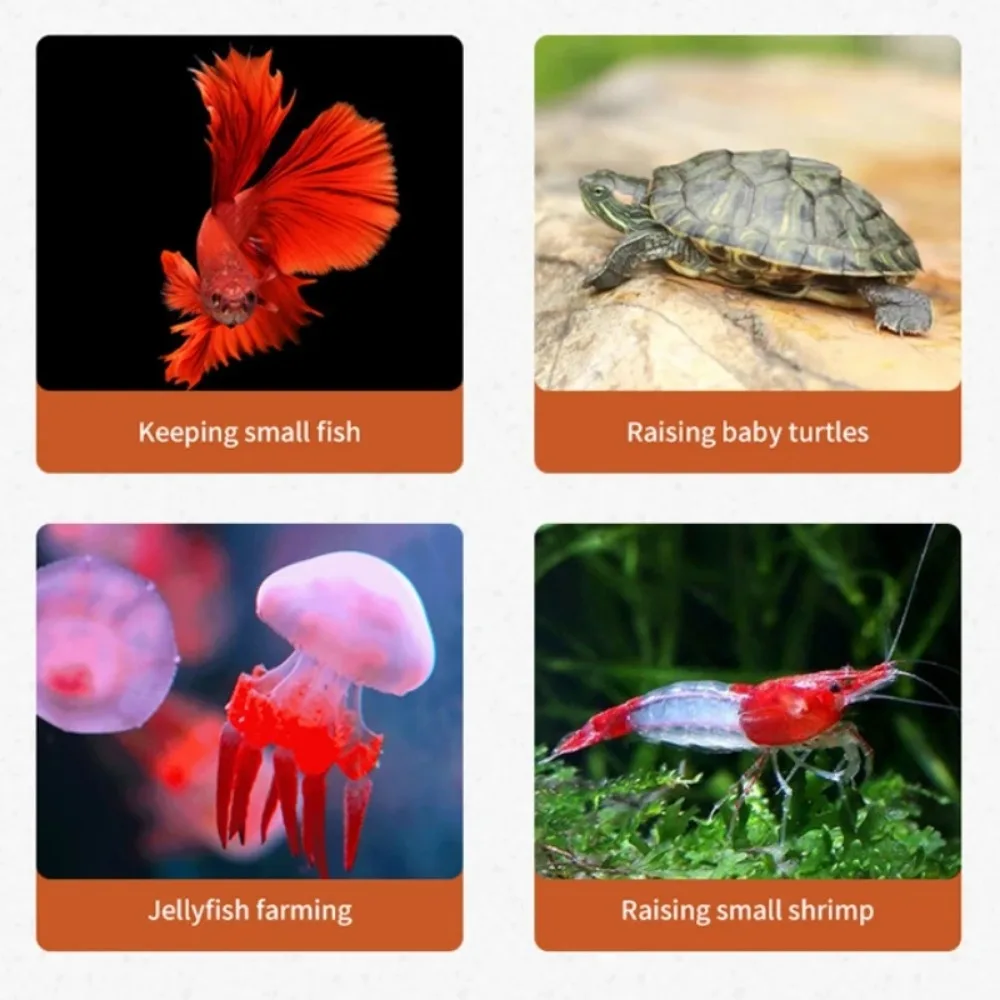 Aquarium Mini Fish Tank Mini Fish Bowls Thai Betta Tank Small Ornamental Fish Live Pet Stackable Aquariums