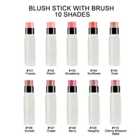White Tube High Pigment Creamy Blush Stick Private Label Sexy Cheek Blusher with Brushes Custom Logo Low Moq 2