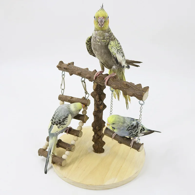 Bird Play Gym Stand Wooden Parrot Playground Ladder Parrot Training Stand Swing Long Tail Cage Playground