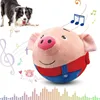 Cute Style Interactive Playing Dog Toy Cartoon Design Safe & Durable Suitable for Puppies & Adult Cats Dogs Toy Indoor Play