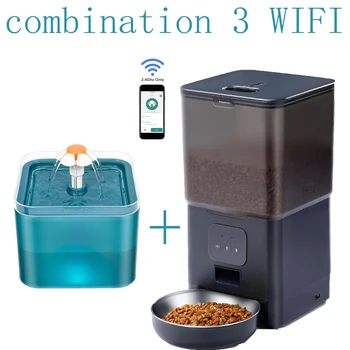 28101-81c0b8.jpg &raquo;