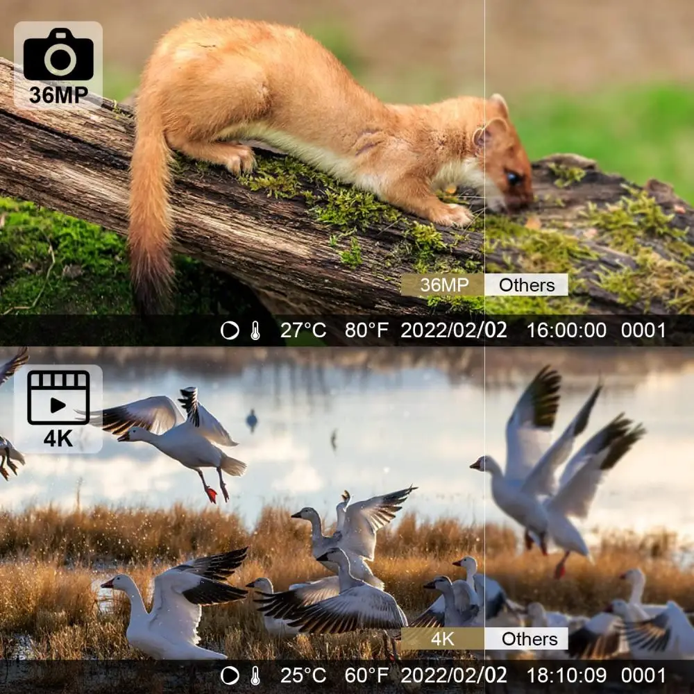 Outdoor Wildlife Camera 24MP Trail Camera Infrared Night Vision 0.3S Motion Activated Waterproof Trap Nature Wildlife Scouting
