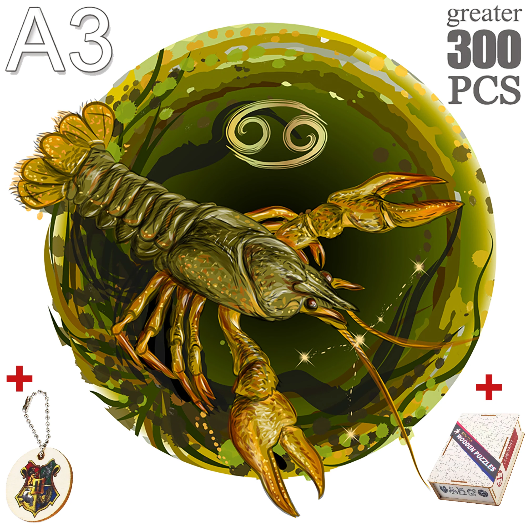 YPAN-24-A3