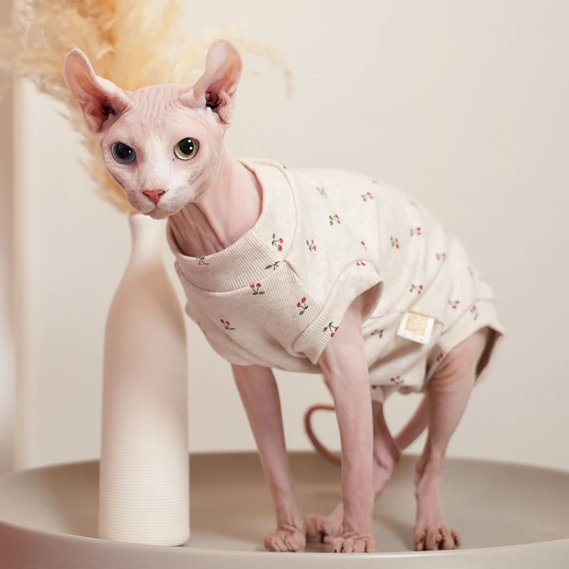 Сфинкс кошка купить