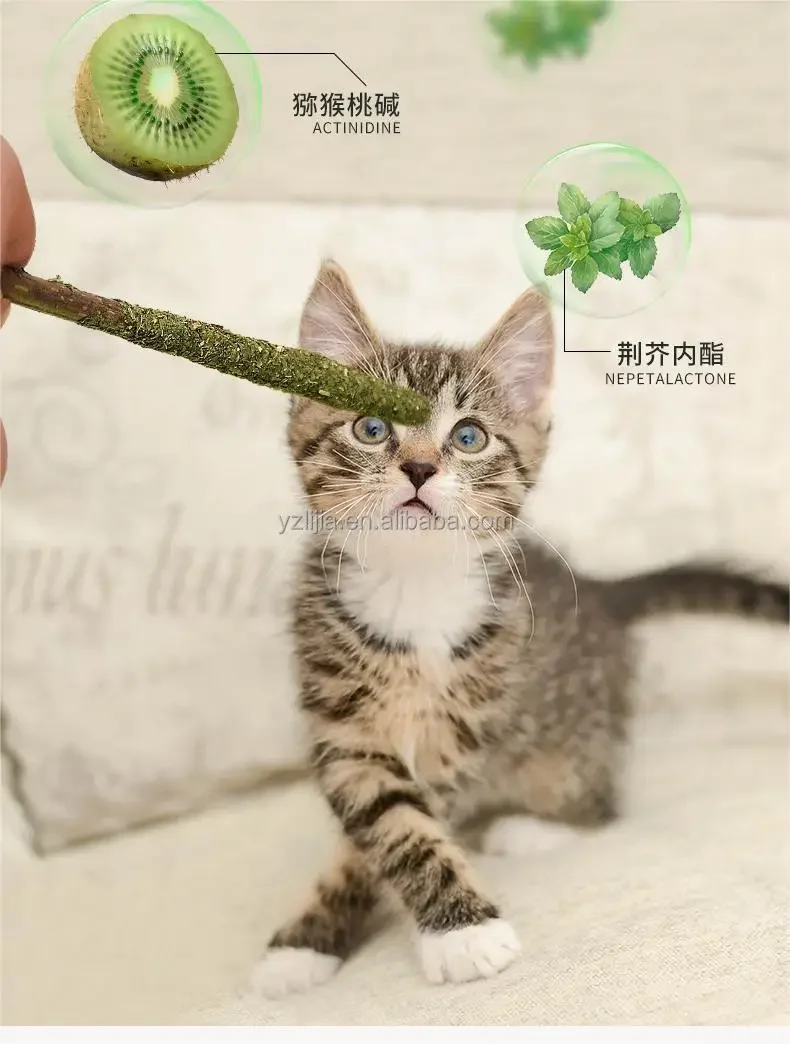 Silvervine Cat Chew Sticks 5