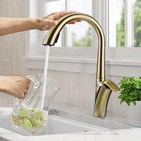 ก๊อกน้ำสำหรับห้องครัวทองเหลืองสีทองลายขนแปรงสุดหรูมีดีไซน์แบบดึงออกได้มือจับเดี่ยวแบบเย็นและร้อน2ฟังก์ชัน 3